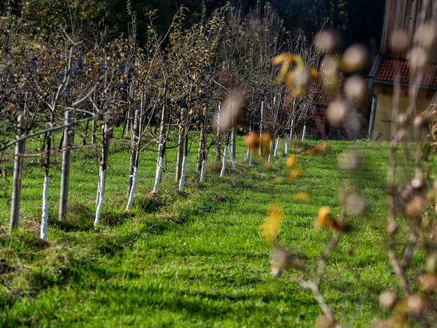 Hofladen Seeberggütl