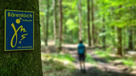Markierung der Bärenlochschlaufe