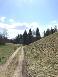 Feldweg zurück nach Bolsterlang