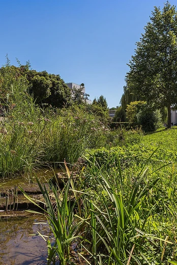 Schaupfad Wasserkraft Günzburg