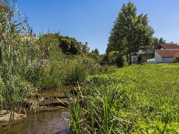 Schaupfad Wasserkraft Günzburg