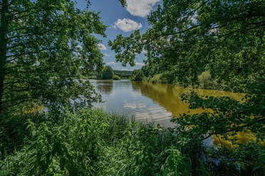 Schupfenteich © Farbflair Fotografie