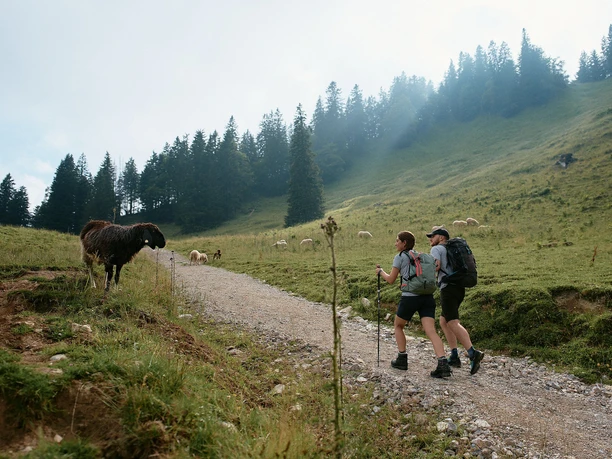 Wanderung