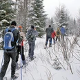 Schneeschuhwandern