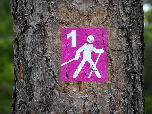 Walking - Foto hike Walking - Foto hike