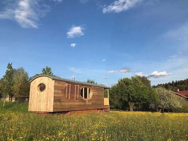 AmVieh Theater_Blumenwiese und Tiny House