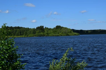 Großer Rußweiher