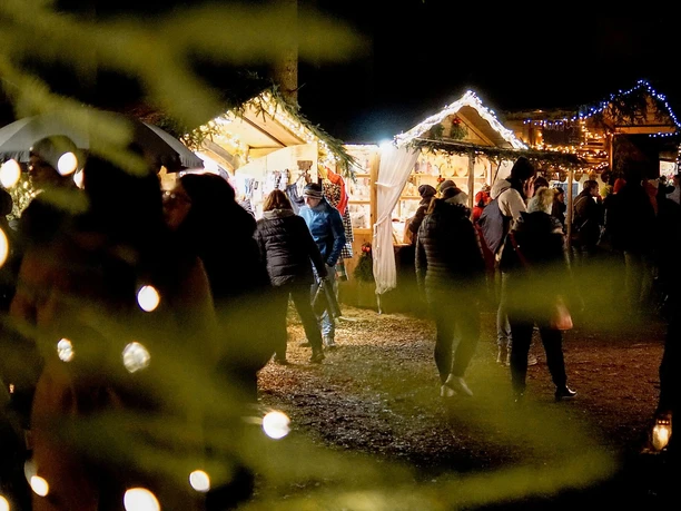 Waldweihnacht Halsbach