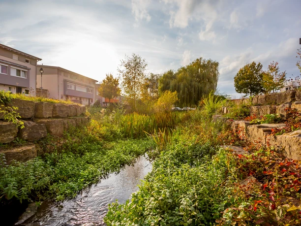 Gewässerpark Günzaue