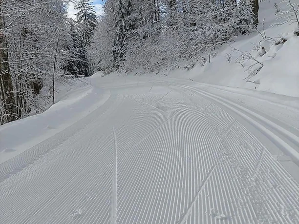 Langlauf