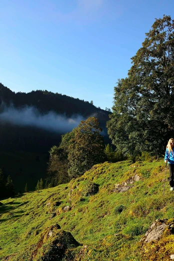 Premiumweg Klausenbachklamm