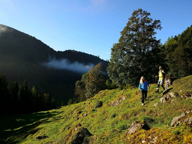 Premiumweg Klausenbachklamm