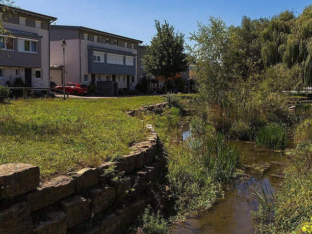 Gewässerpark Günzaue