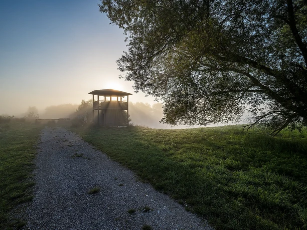 Beobachtungsturm Sophienried