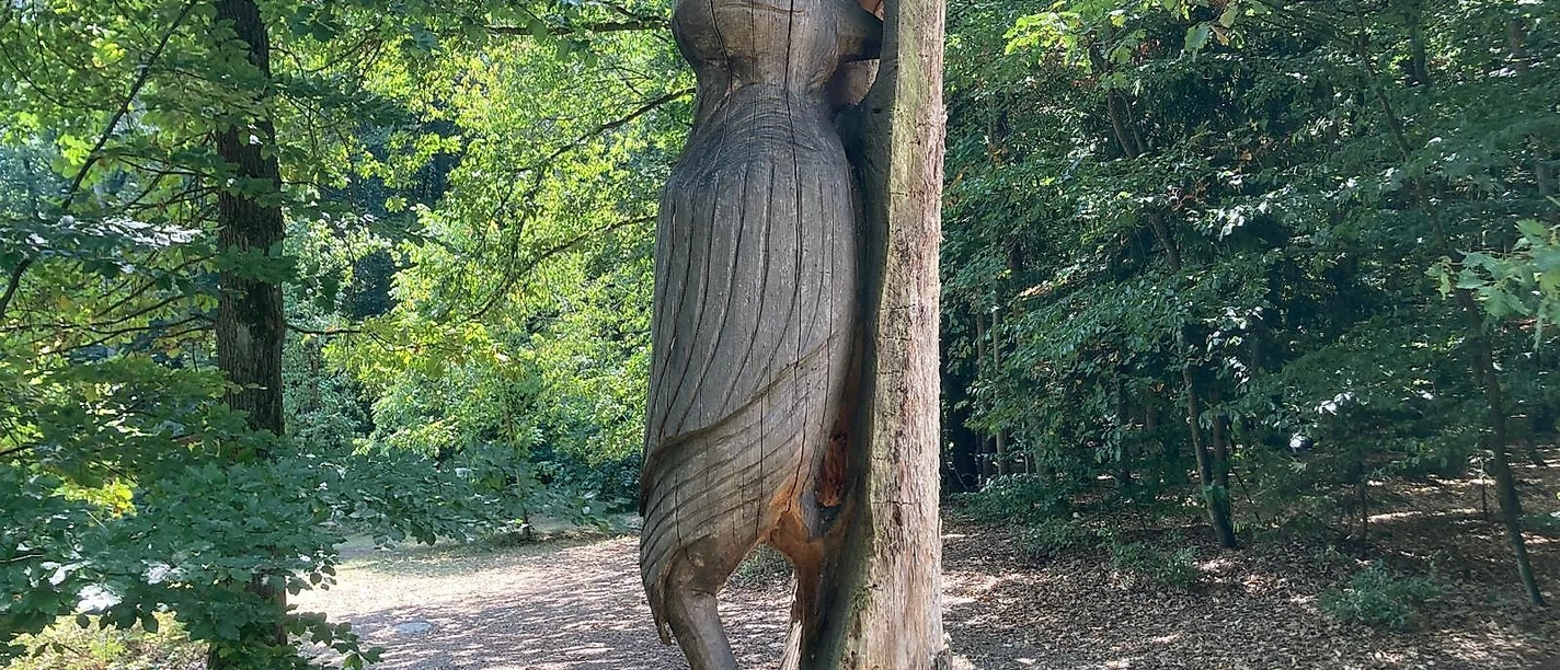 Holzspecht 3 Andrea_Bonauer.jpg