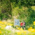 Geotop Klosterberg Lehrpfad