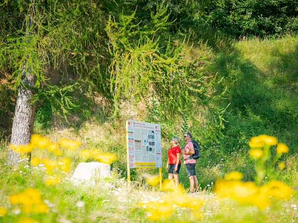 Geotop Klosterberg Lehrpfad