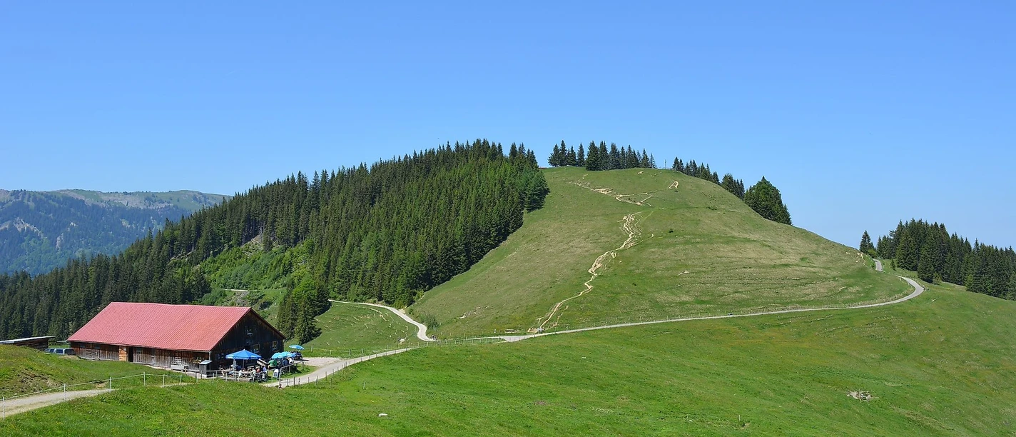 Alpe Fahnengehren am Ofterschwanger Horn in Ofterschwang