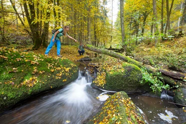 Im Otterbachtal bei Altenthann