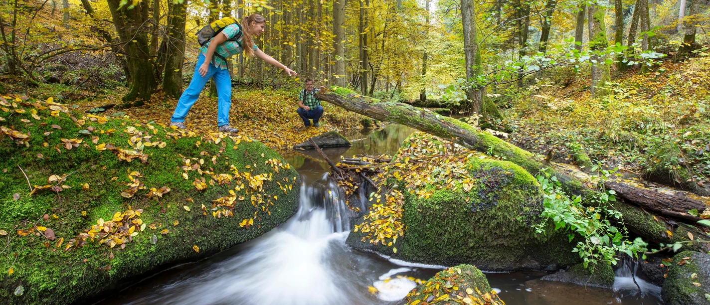 Im Otterbachtal bei Altenthann