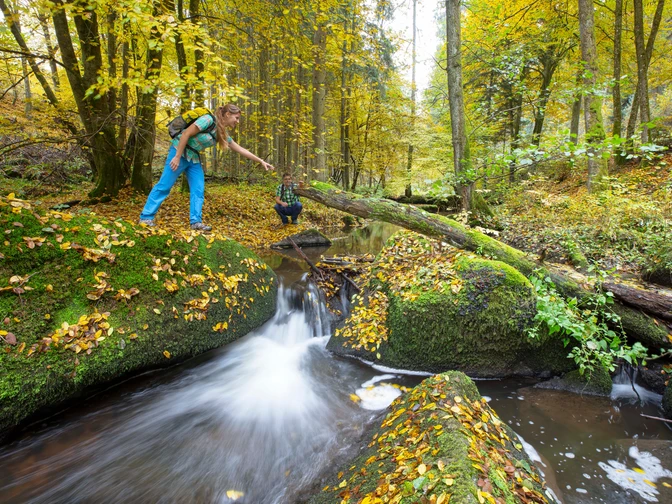 Im Otterbachtal bei Altenthann