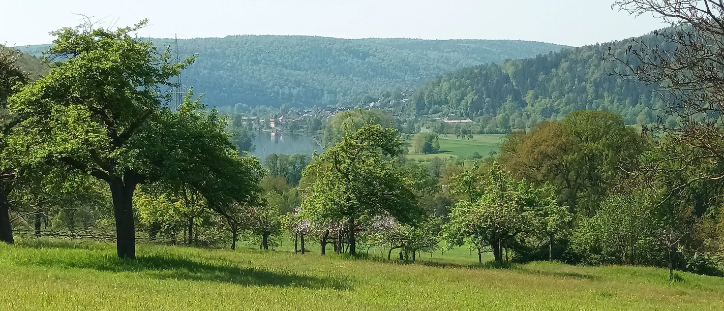 Blick Romberg nach Rodenbach2024.jpg Blick Romberg nach Rodenbach2024.jpg