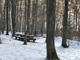 Winter_Bank_M_Zellner.jpg