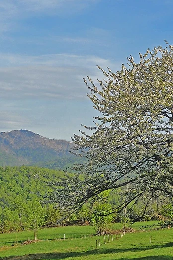 Waldhäuserfluren mit Rachel