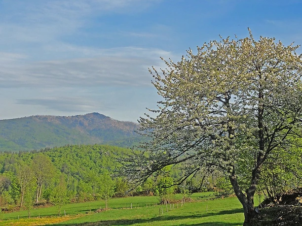 Waldhäuserfluren mit Rachel