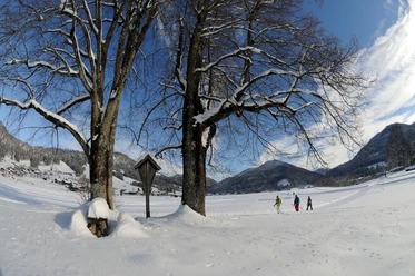 Premiumwinterwanderweg Kaiserblick © Eisele Hein (34)