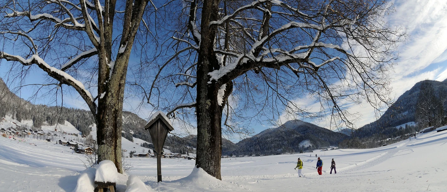 Premiumwinterwanderweg Kaiserblick © Eisele Hein (34)