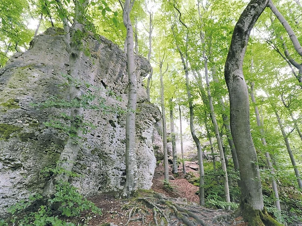 Der Sektor "Hallo Muggels" der Hexenküche bei Hiltpoltstein Der Sektor "Hallo Muggels" der Hexenküche bei Hiltpoltstein