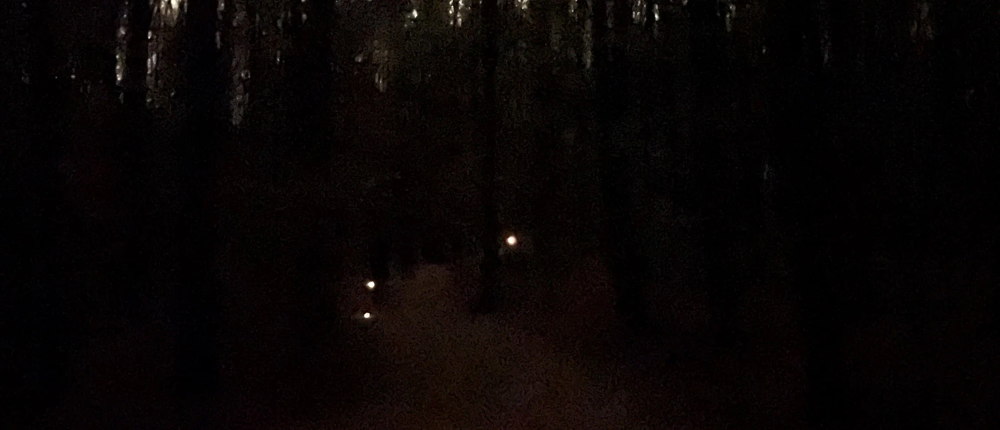 Lichtergang Abenteuerabend_Markus Koch.jpg