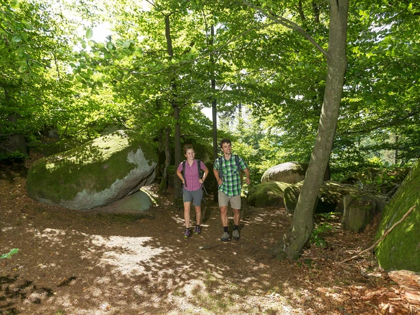 Beim Wackelstein im östlichen Regental Nahe Heilinghausen/Gibacht