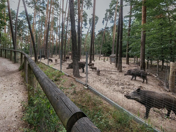 Wildschweingehege(c)Tourist-Information-Fürth.jpg Wildschweingehege(c)Tourist-Information-Fürth.jpg