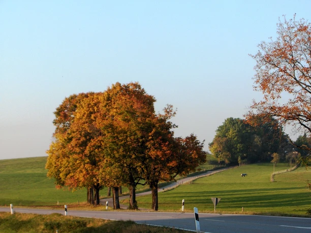 Zwischen Warngau und Holzkirchen