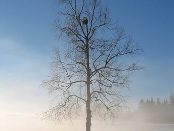 Winterlandschaft im Allgäu