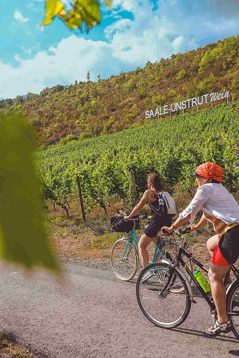 auf-dem-saaleradweg-durchs-saale-unstrut-weinanbau-gebiet_etappe-6_c_vinvent_graetsch