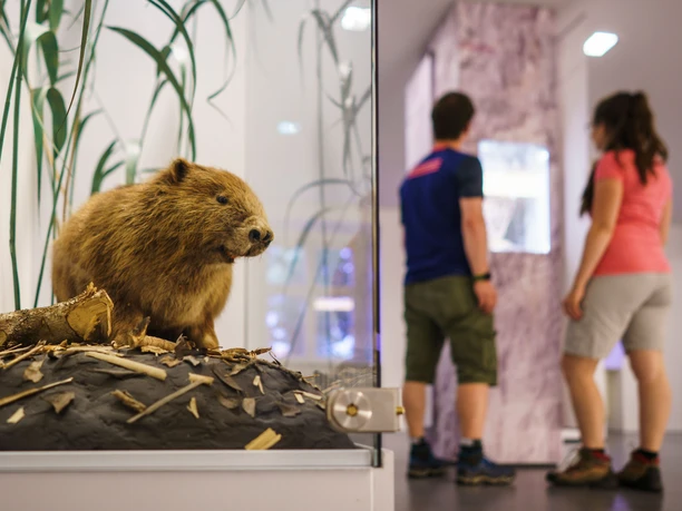 Austellung des Informationszentrum Naturpark Altmühltal