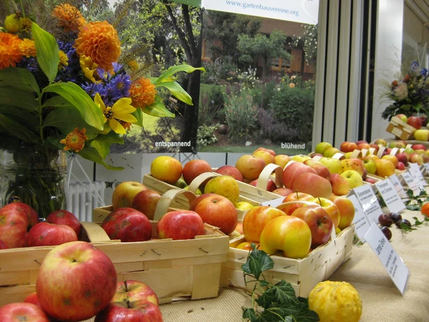 Obstvielfalt im Landkreis Neu-Ulm