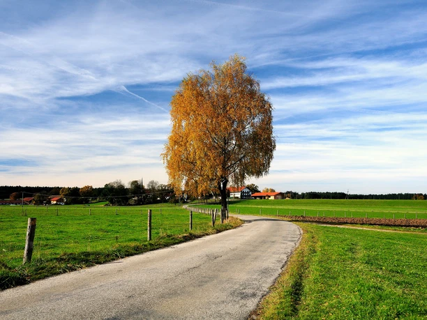 Radweg im Oberland