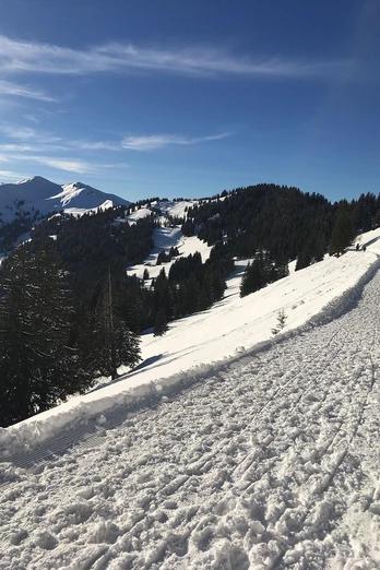 Gewalzter Winterwanderweg an der Hörnerbahn