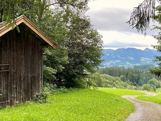 Idyllischer Hochwiesweg bei Ofterschwang