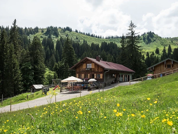 Alpe Bolgen