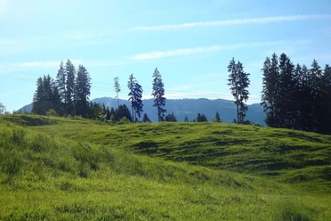 Weg zwischen Aumühle und Maderhalm