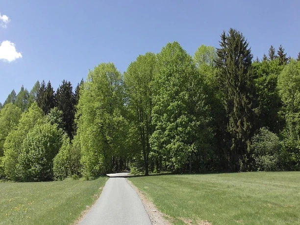 Am Freilandmuseum Grassemann