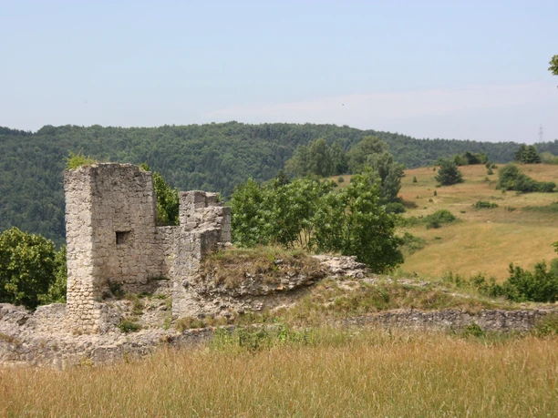 Burgruine Kallmünz