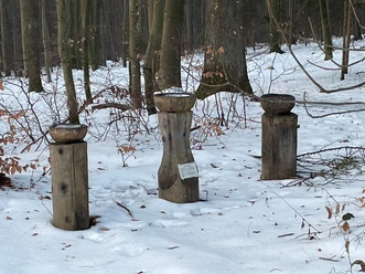 Winter_Dankesschalen_M_Zellner.jpg