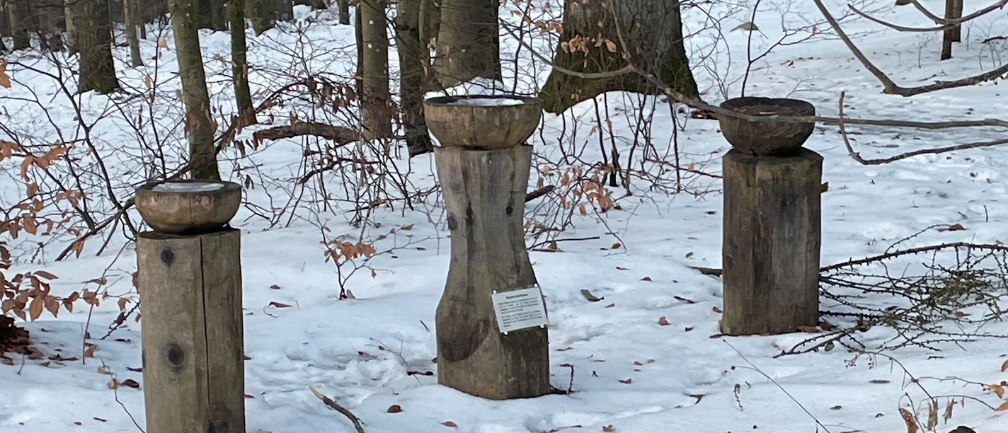 Winter_Dankesschalen_M_Zellner.jpg Winter_Dankesschalen_M_Zellner.jpg