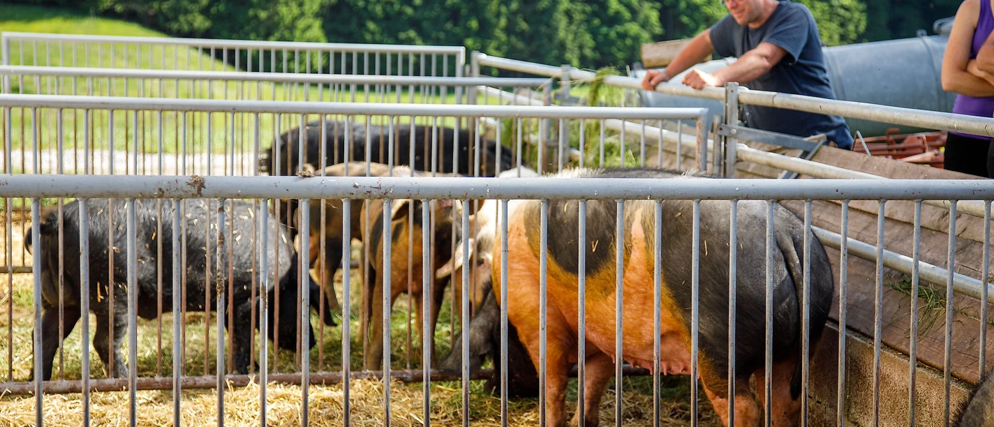 Tittmoning, Kettenberger Ökolandwirt-4048